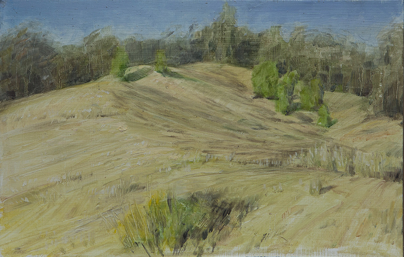 Oil Sketch for Long Timber 2 by Scott  Breton | Lethbridge Gallery